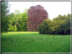 foto Parco Karlsaue in Estate